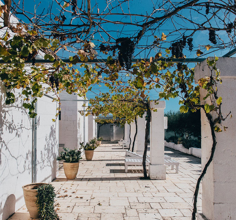 Masseria Potenti Reception