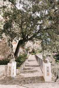 La Rondinaia Wedding Planner