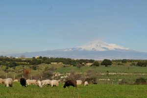 Commenda di San Calogero